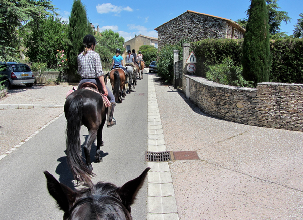 Provence riding holidays